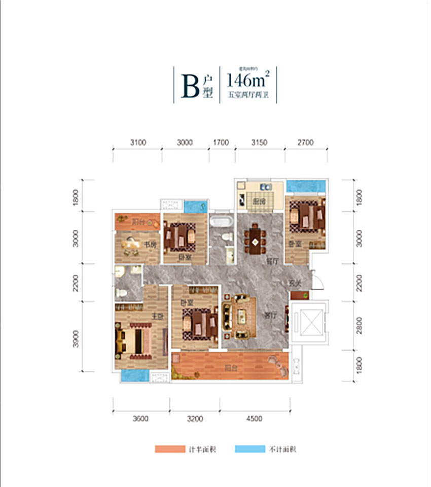 B户型
