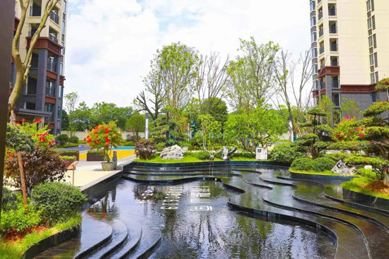 1689566818546919.jpg 9.jpg