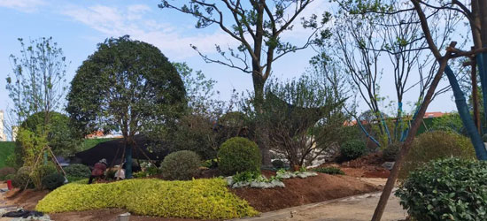 1689911790419365.jpg 4.jpg