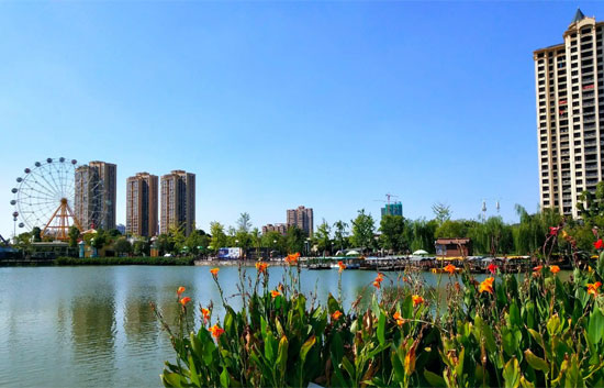 1690705757806345.jpg 6.jpg