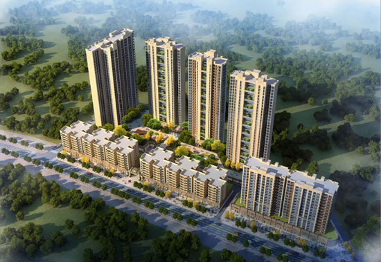 1691823759511529.jpg 1.jpg