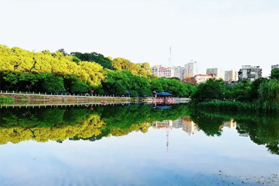 1697701957349144.jpg 1.jpg