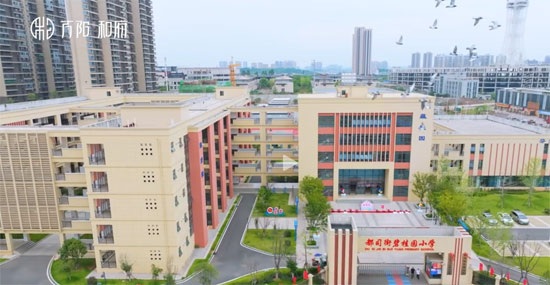 1699171910260542.jpg 3.jpg