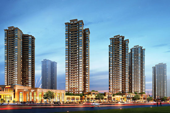 1699865761267032.jpg 3.jpg