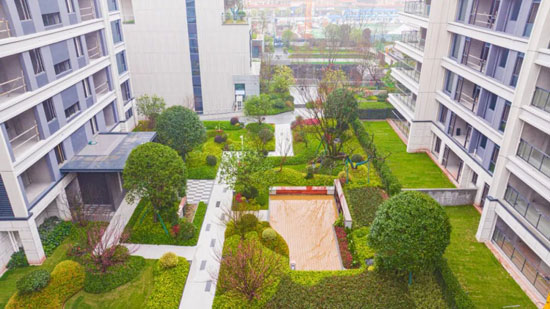 1709190076627185.jpg 1.jpg