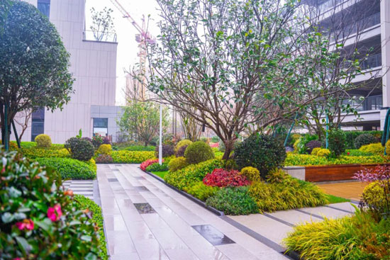 1709190143206204.jpg 3.jpg