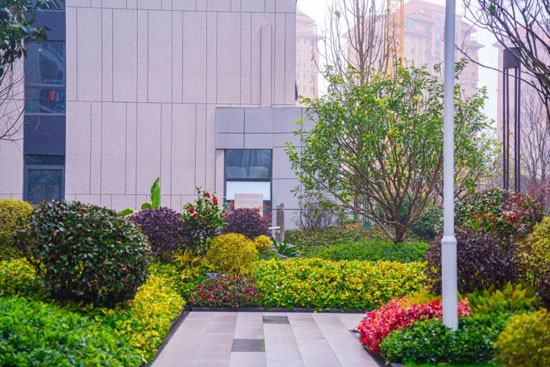 1709190158904143.jpg 4.jpg