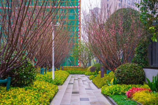 1709190172965936.jpg 5.jpg