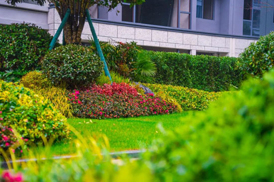 1709190186497039.jpg 7.jpg