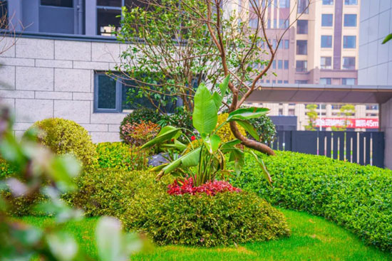 1709190195108873.jpg 8.jpg