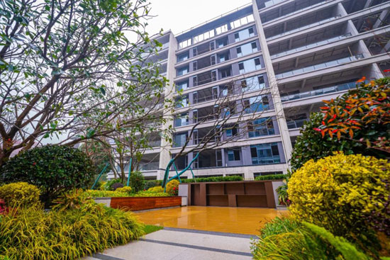 1709190236316545.jpg 10.jpg