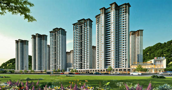 1711098743397914.jpg 2.jpg