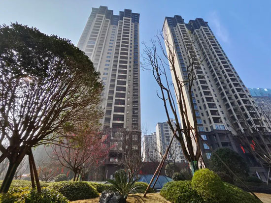 1711178876345413.jpg 2.jpg