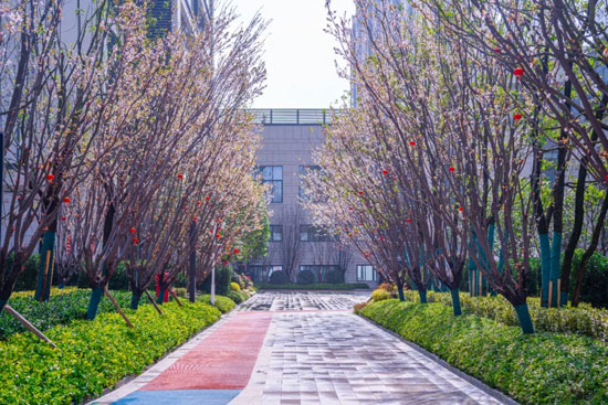 1711976653212059.jpg 4.jpg