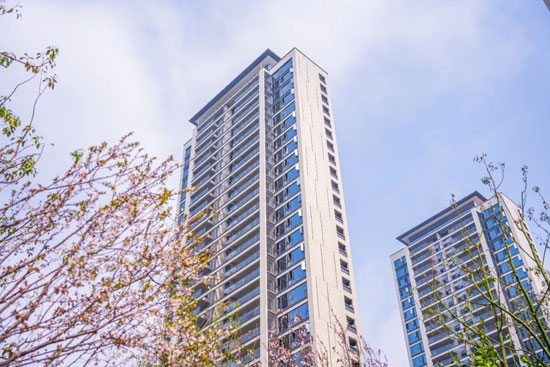 1711976658450288.jpg 5.jpg