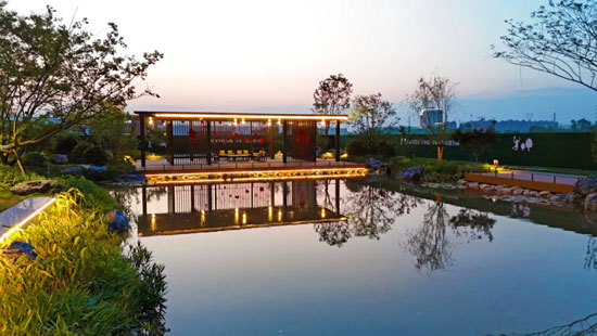 1719135631981130.jpg 12.jpg