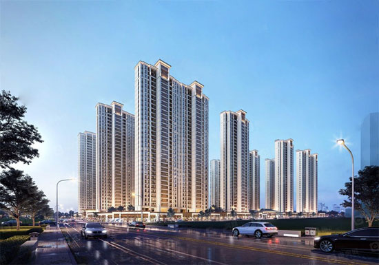 1739435965466714.jpg 7.jpg