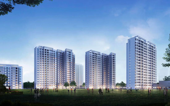 1740387549833428.jpg 3.jpg