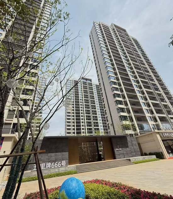 1745209120946165.jpg 5.jpg