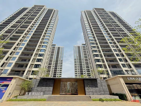 1745209185231279.jpg 8.jpg