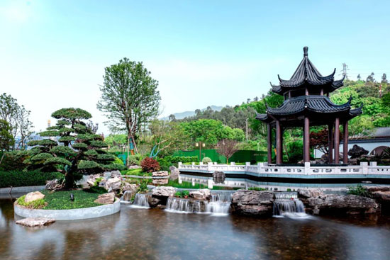 1748176230454869.jpg 4.jpg